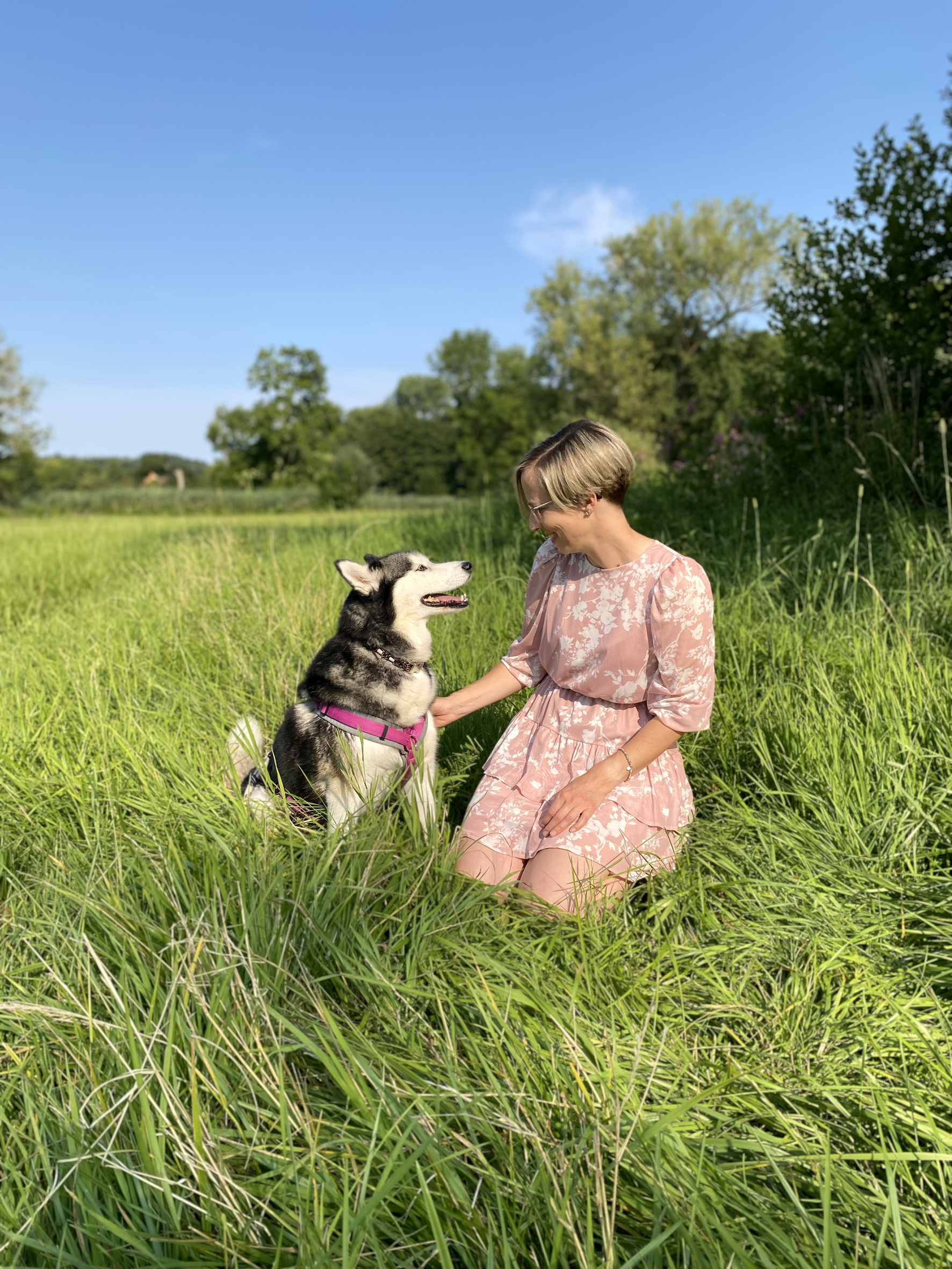 Vom Kopf ins Herz Hund als Spiegel